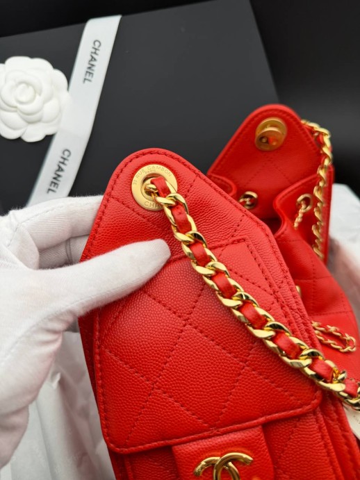 Сумка Chanel hobo mini 34766 4