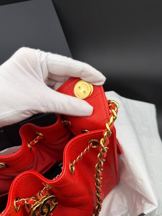 Сумка Chanel hobo mini 34766 4
