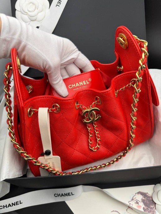 Сумка Chanel hobo mini 34766 4