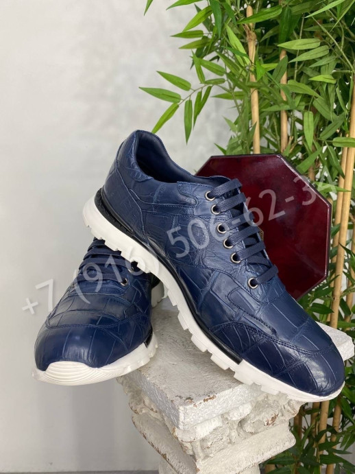 Кроссовки из кожи крокодила Stefano Ricci 24578