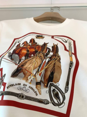 Толстовка Hermes 6450 1