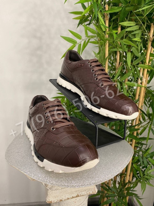 Кроссовки из кожи крокодила Stefano Ricci 24579