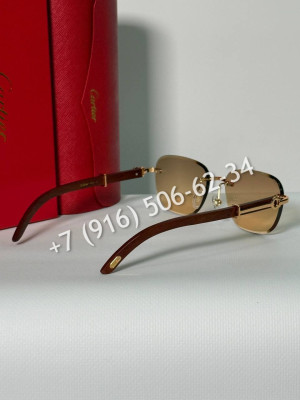 Очки Cartier 27493 1