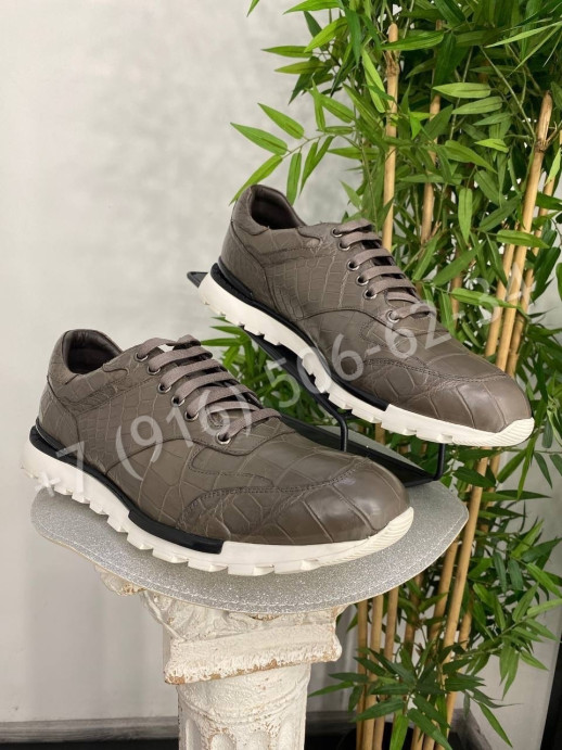 Кроссовки из кожи крокодила Stefano Ricci 24580