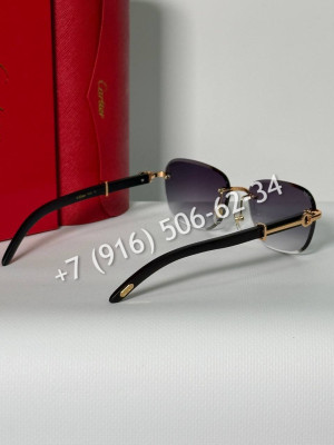 Очки Cartier 27493 2