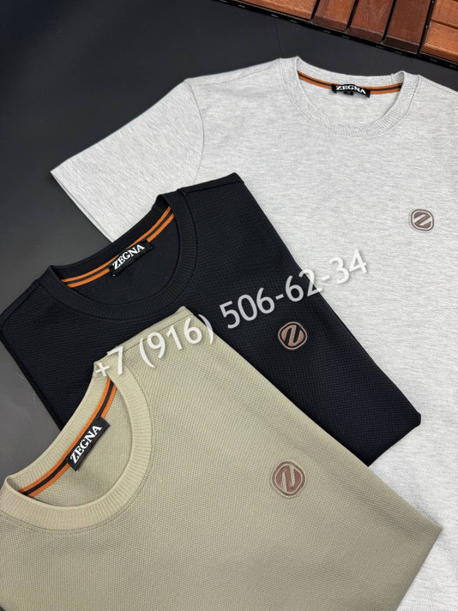 Футболка Zegna 17940 3