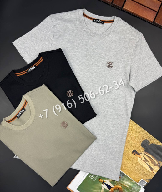 Футболка Zegna 17940 3