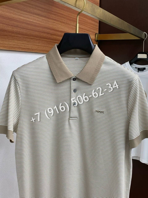 Поло Zegna 18445 8