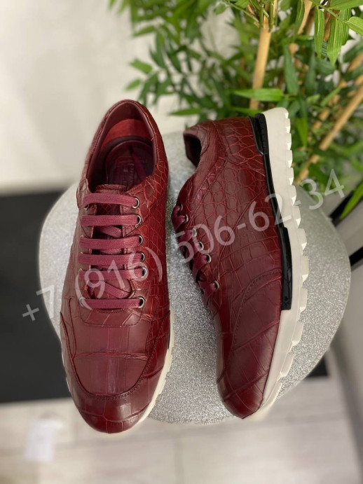 Кроссовки из кожи крокодила Stefano Ricci 24581