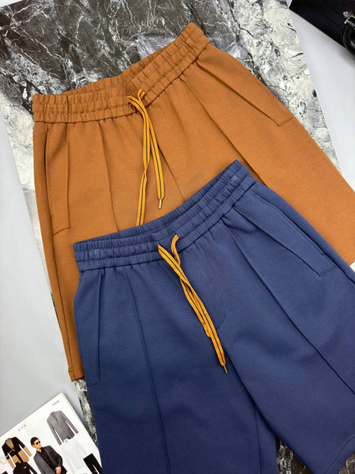 Шорты Zegna 31497