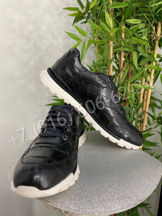 Кроссовки из кожи крокодила Stefano Ricci 24582