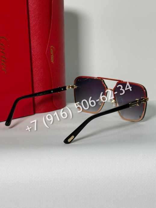 Очки Cartier 27493 4