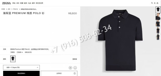 Поло Zegna 23853 2