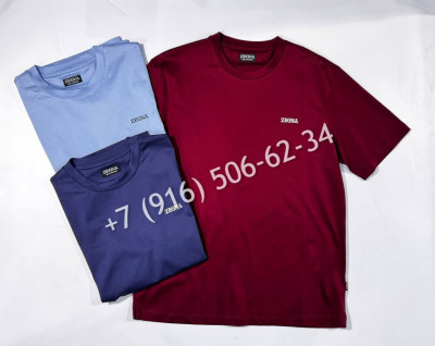 Футболка Zegna 17938 3