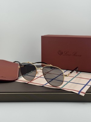 Очки Loro Piana 26983 3