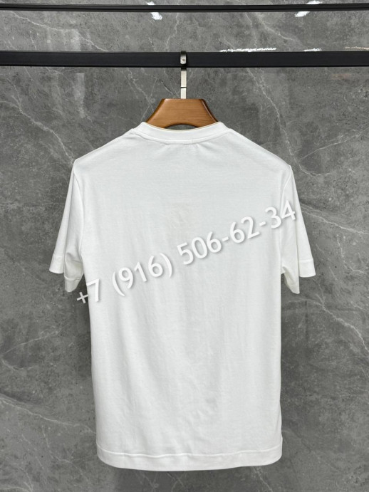 Футболка Brioni 6829 8