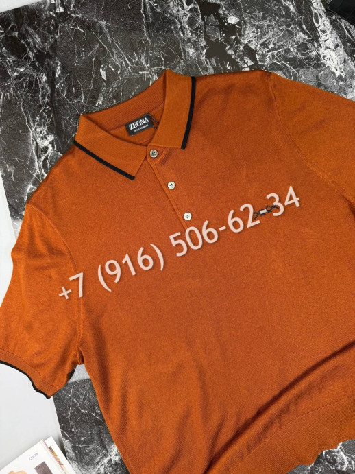 Поло Zegna 18445 2