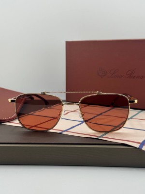 Очки Loro Piana 26983 4