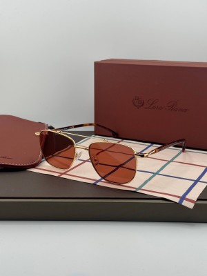 Очки Loro Piana 26983 4