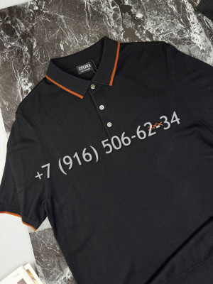 Поло Zegna 18445 3