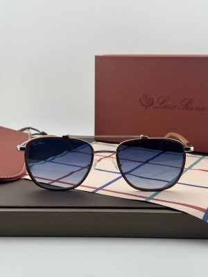 Очки Loro Piana 26983 5