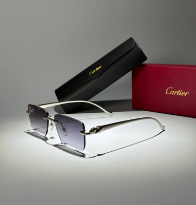 Очки Cartier 30406 5
