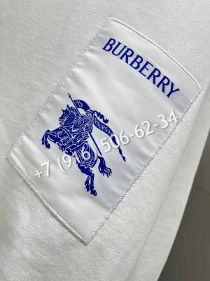 Толстовка Burberry 22988 2