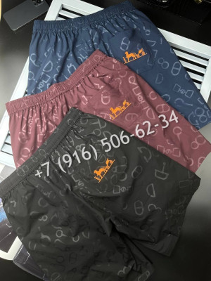 Плавательные шорты Hermes 13553 4