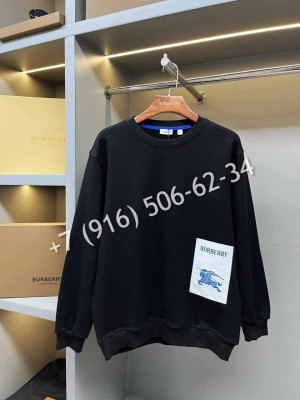 Толстовка Burberry 22988 3