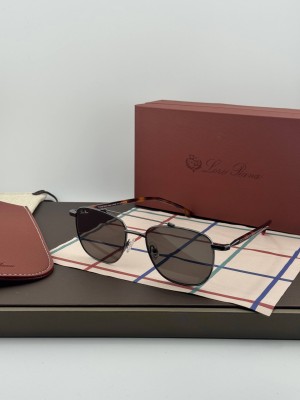 Очки Loro Piana 26983 7