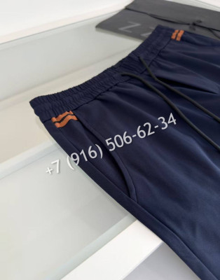 Штаны Zegna 21810 1