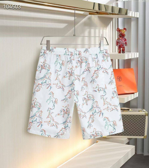 Плавательные шорты Hermes 13554 4