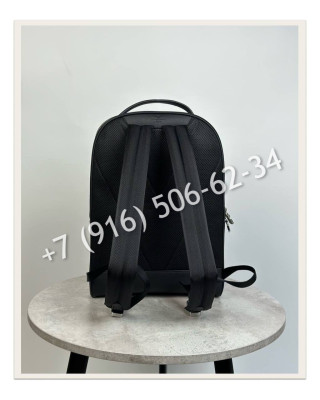 Рюкзак Louis Vuitton 25225 7