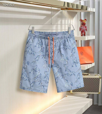 Плавательные шорты Hermes 13554 5