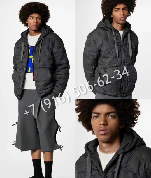 Куртка Louis Vuitton 5498 2