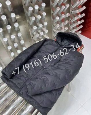 Куртка Louis Vuitton 5498 2