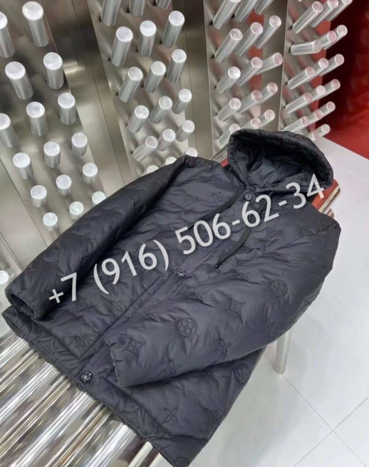 Куртка Louis Vuitton 5498 2