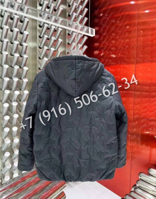 Куртка Louis Vuitton 5498 2