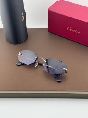 Очки Cartier 26984 3