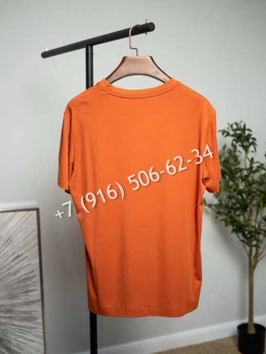 Футболка Loro Piana 15437 20