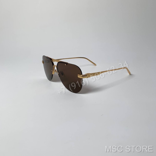 Очки Louis Vuitton 9589