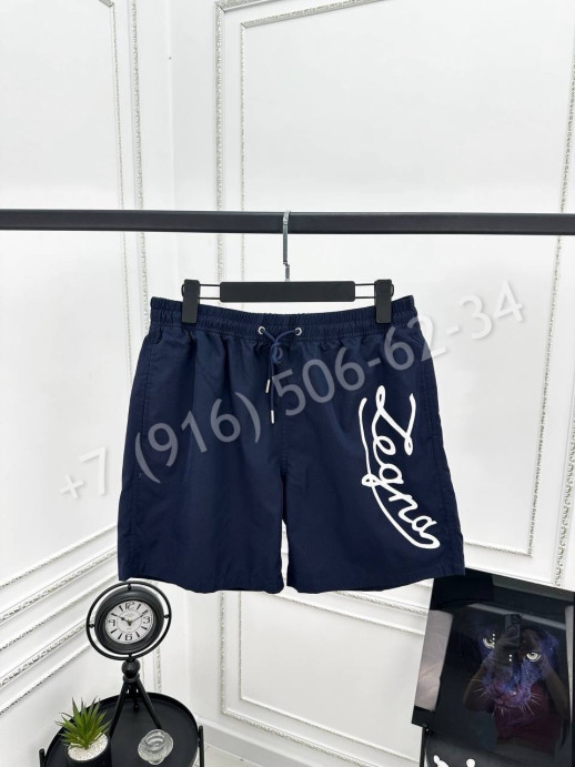 Плавательные шорты Zegna 28100