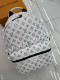 Рюкзак Louis Vuitton 31866 3