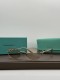 Очки Tiffany & Co 36368 2