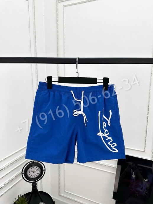 Плавательные шорты Zegna 28101