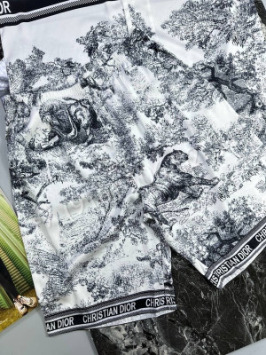 Прогулочный костюм Dior 18119