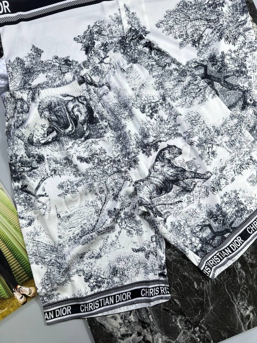 Прогулочный костюм Dior 18119