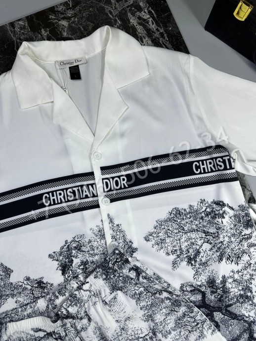 Прогулочный костюм Dior 18119