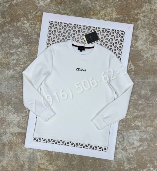 Толстовка Zegna 27701