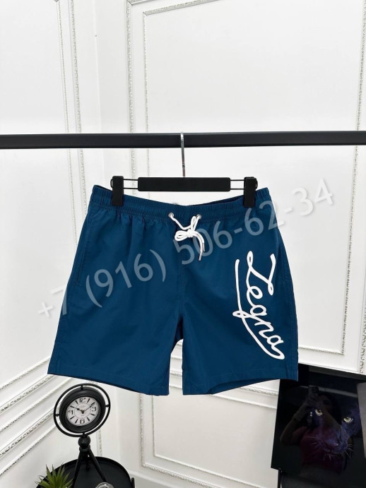 Плавательные шорты Zegna 28102